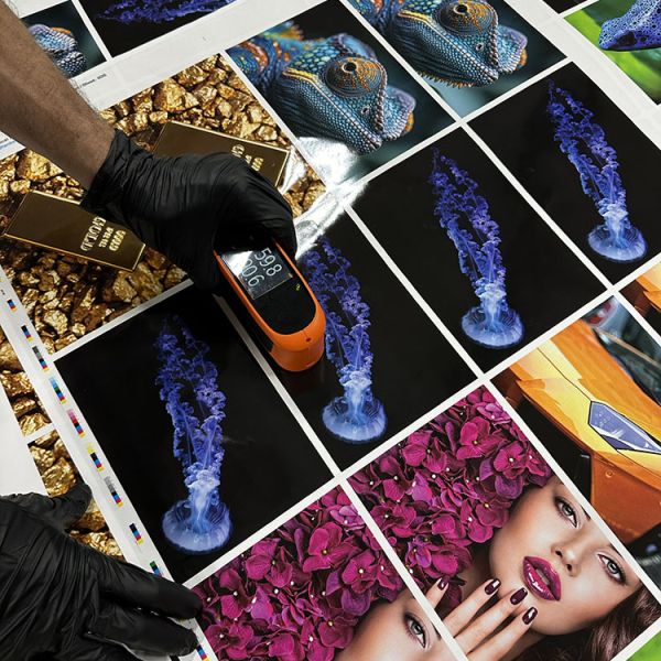 Printing Insights - Color Elegance - Phillips Printing Company