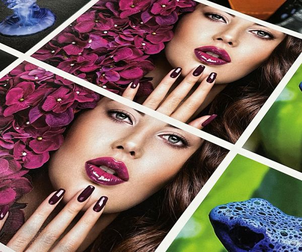 Phillips Printing Company Enhancing Color In Print