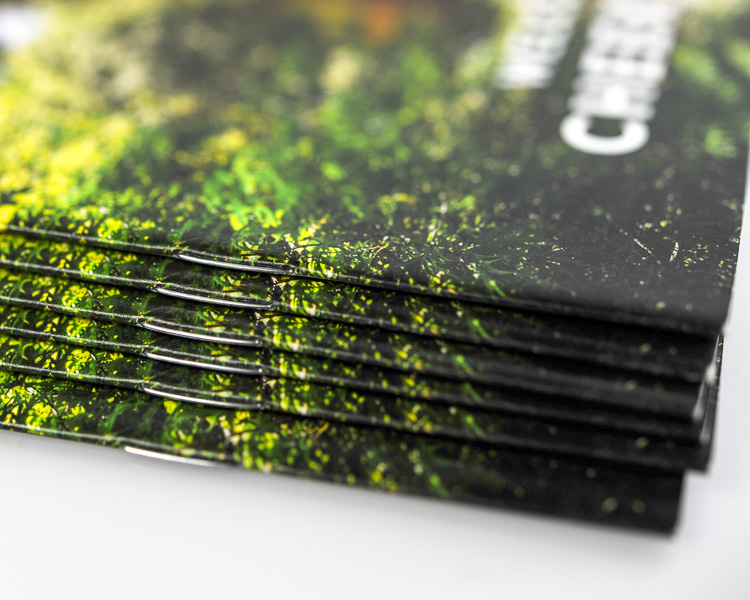 Phillips Printing Portfolio Musicians Hall Of Fame Hardcover Book