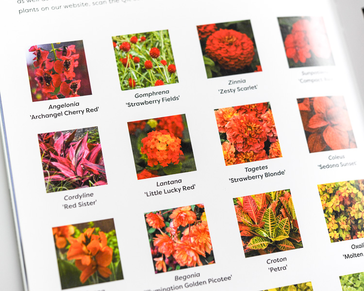 Phillips Printing Portfolio Musicians Hall Of Fame Hardcover Book