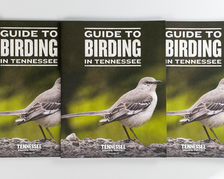 Phillips Printing Portfolio Musicians Hall Of Fame Hardcover Book