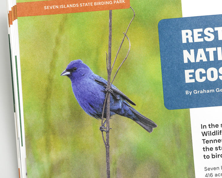 Phillips Printing Portfolio Musicians Hall Of Fame Hardcover Book