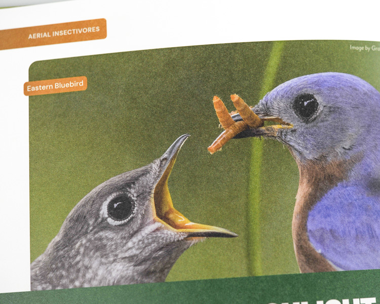 Phillips Printing Portfolio Musicians Hall Of Fame Hardcover Book