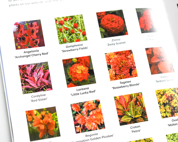 Cheekwood botanical guide interior pages