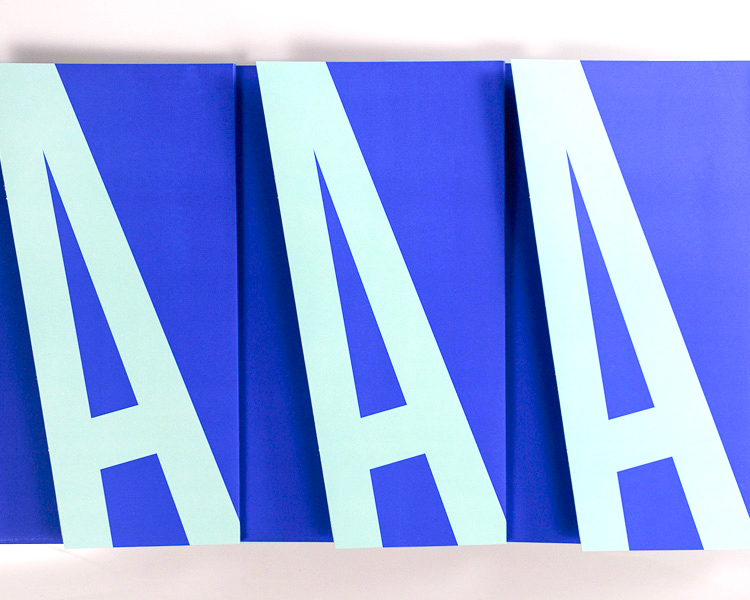 Blue Tennessee Performing Arts Center capital campaign pocket folder variation