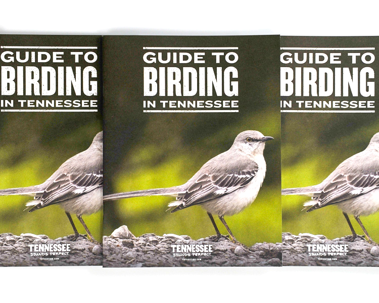 Printed Tennessee birding tourism guide stack