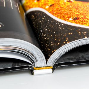 Phillips Printing Portfolio Musicians Hall Of Fame Hardcover Book